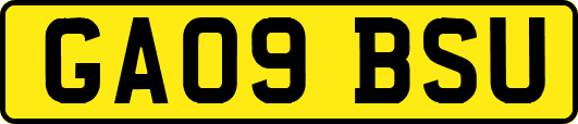 GA09BSU