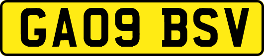 GA09BSV