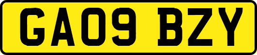 GA09BZY