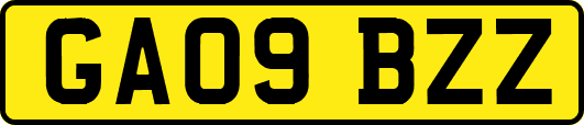 GA09BZZ