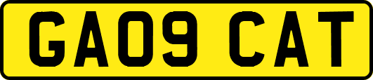 GA09CAT