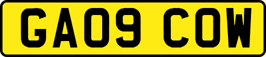 GA09COW