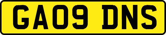 GA09DNS