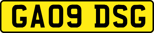 GA09DSG