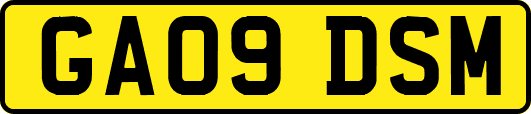 GA09DSM