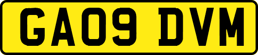 GA09DVM