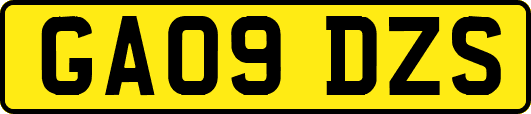 GA09DZS
