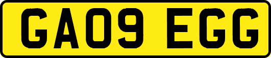 GA09EGG
