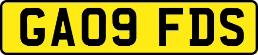 GA09FDS