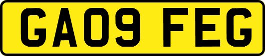 GA09FEG