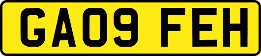 GA09FEH