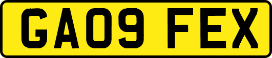 GA09FEX