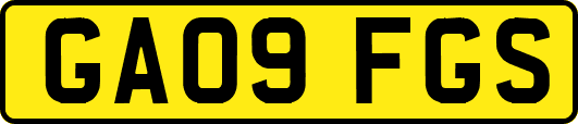 GA09FGS
