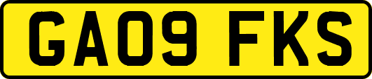 GA09FKS