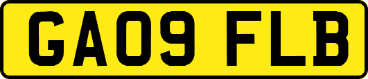 GA09FLB