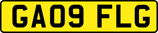 GA09FLG