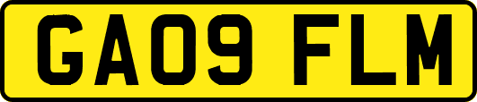 GA09FLM