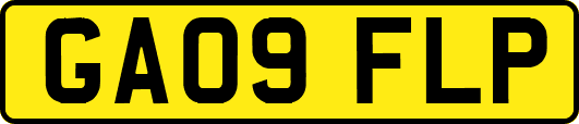 GA09FLP