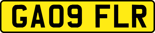 GA09FLR