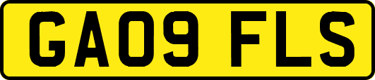 GA09FLS