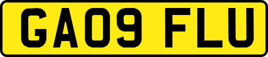 GA09FLU