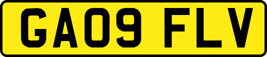 GA09FLV