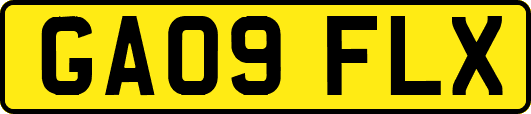 GA09FLX