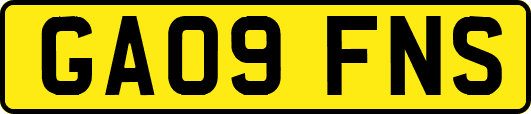 GA09FNS