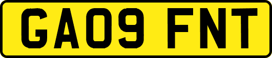 GA09FNT