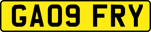 GA09FRY