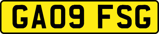 GA09FSG