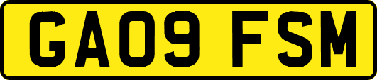 GA09FSM
