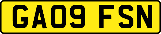 GA09FSN