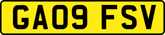 GA09FSV