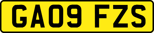 GA09FZS