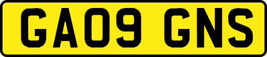 GA09GNS