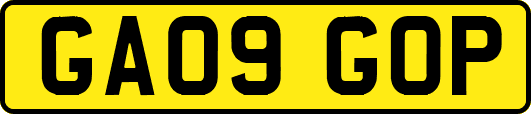 GA09GOP