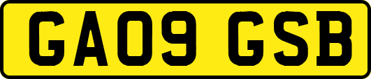 GA09GSB