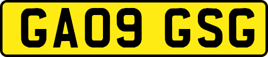 GA09GSG
