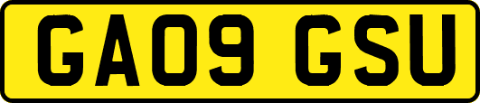 GA09GSU