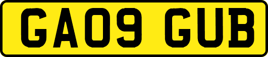 GA09GUB
