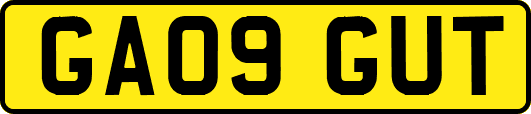 GA09GUT