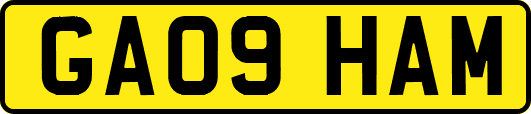 GA09HAM