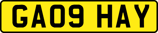GA09HAY