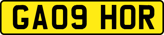 GA09HOR