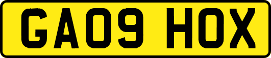 GA09HOX