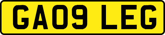 GA09LEG