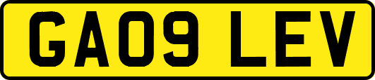 GA09LEV