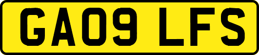 GA09LFS