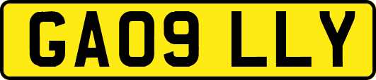 GA09LLY